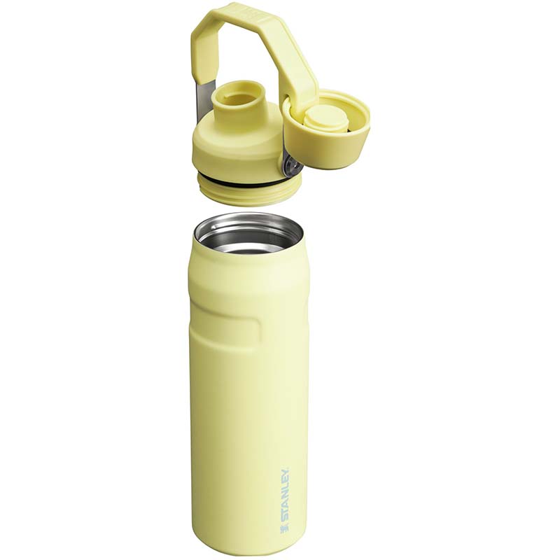 24oz Iceflow Bottle with Fast Flow Lid in Pomelo